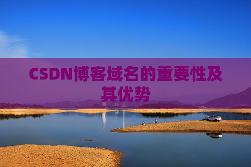 CSDN博客域名的重要性及其优势